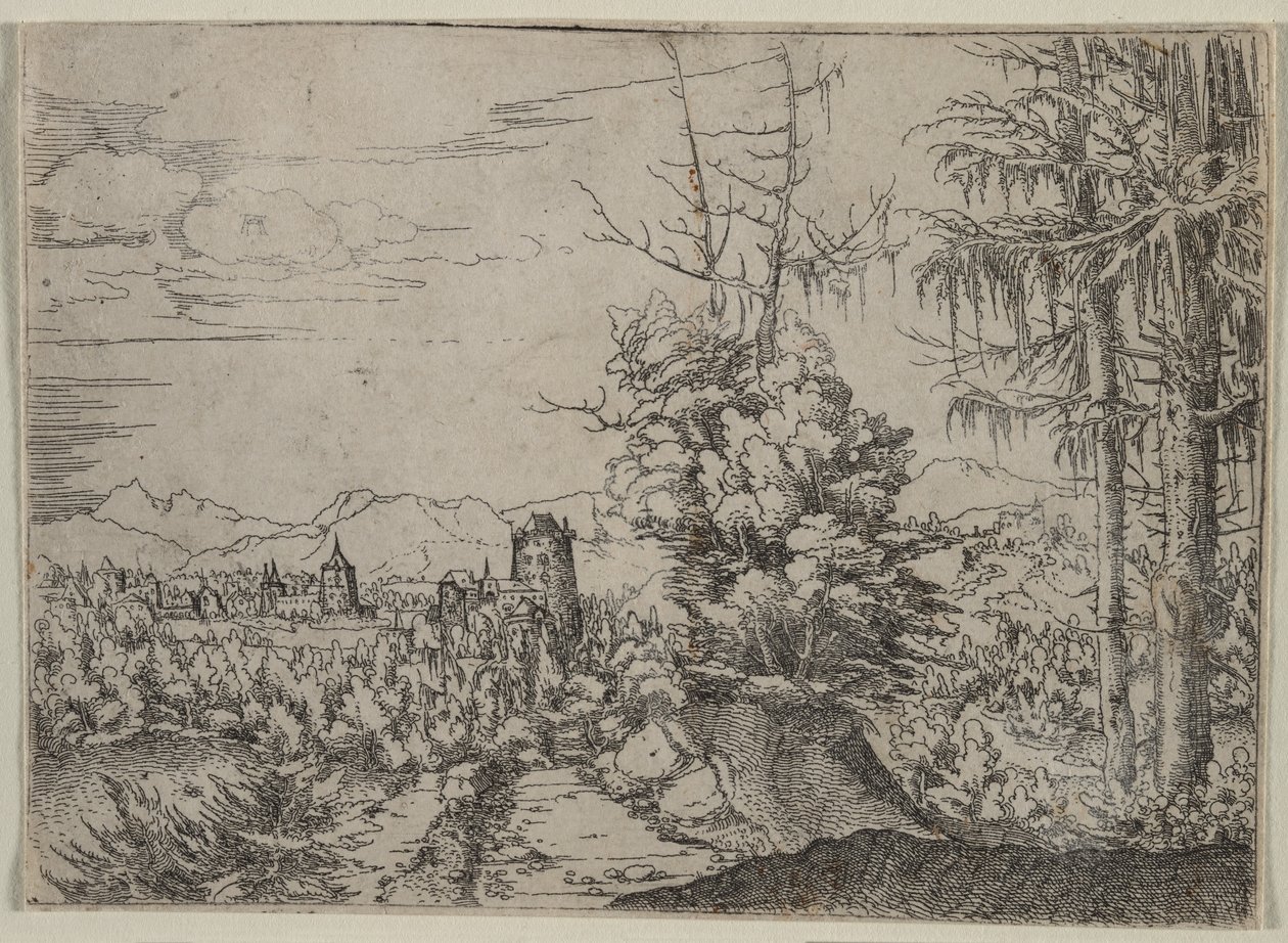  da Augustin Hirschvogel