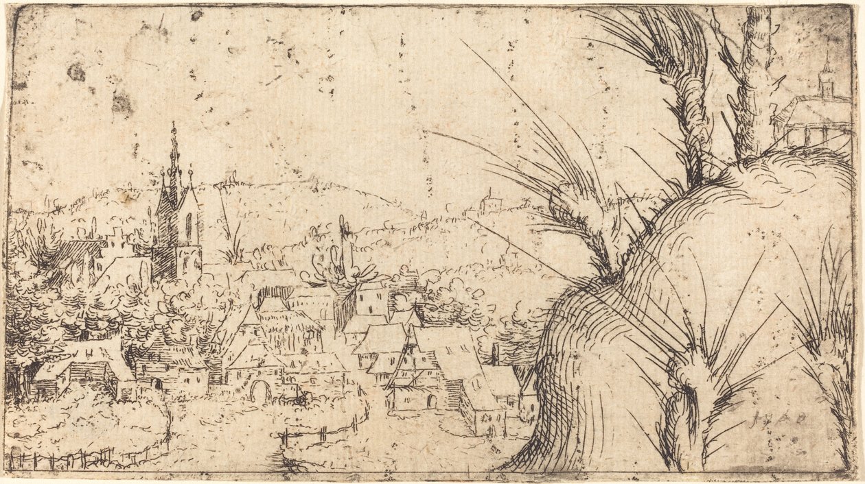 Paesaggio con una città a sinistra da Augustin Hirschvogel