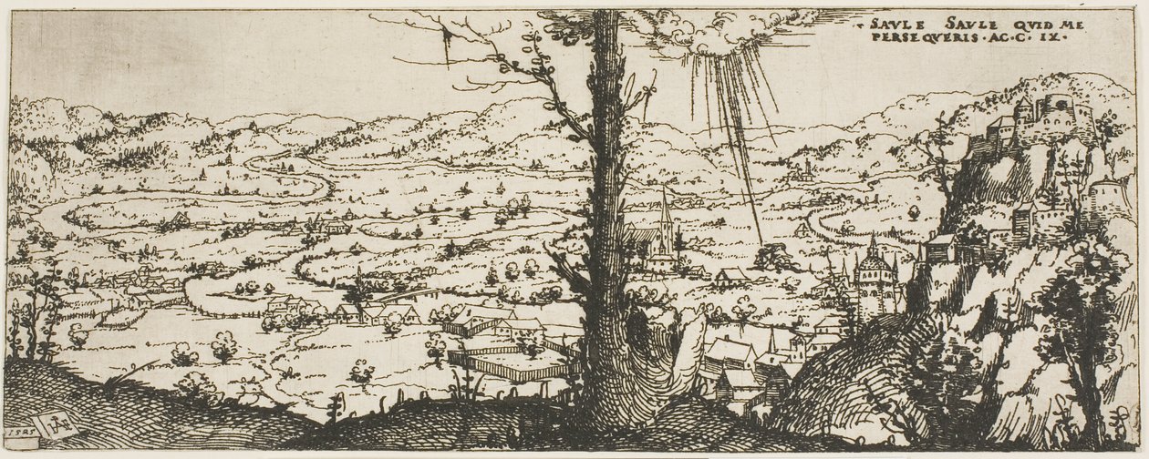 Paesaggio con un albero al centro del primo piano da Augustin Hirschvogel