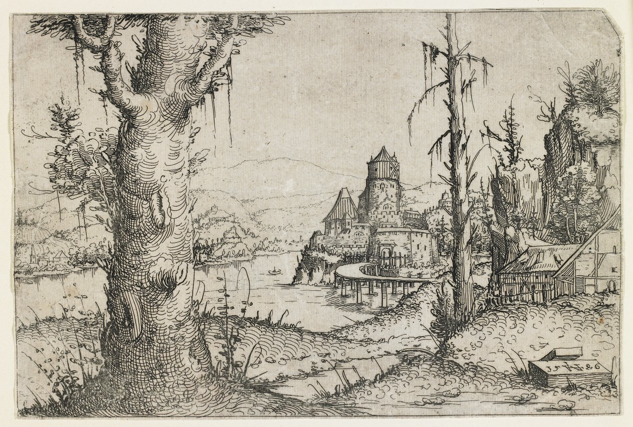 Grande albero e castello su un lago da Augustin Hirschvogel