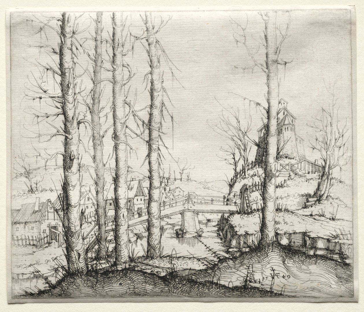 Paesaggio fluviale con cinque abeti spogli in primo piano, 1549 da Augustin Hirschvogel
