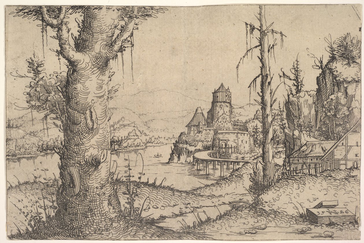 Paesaggio Fluviale con Grande Albero a Sinistra da Augustin Hirschvogel