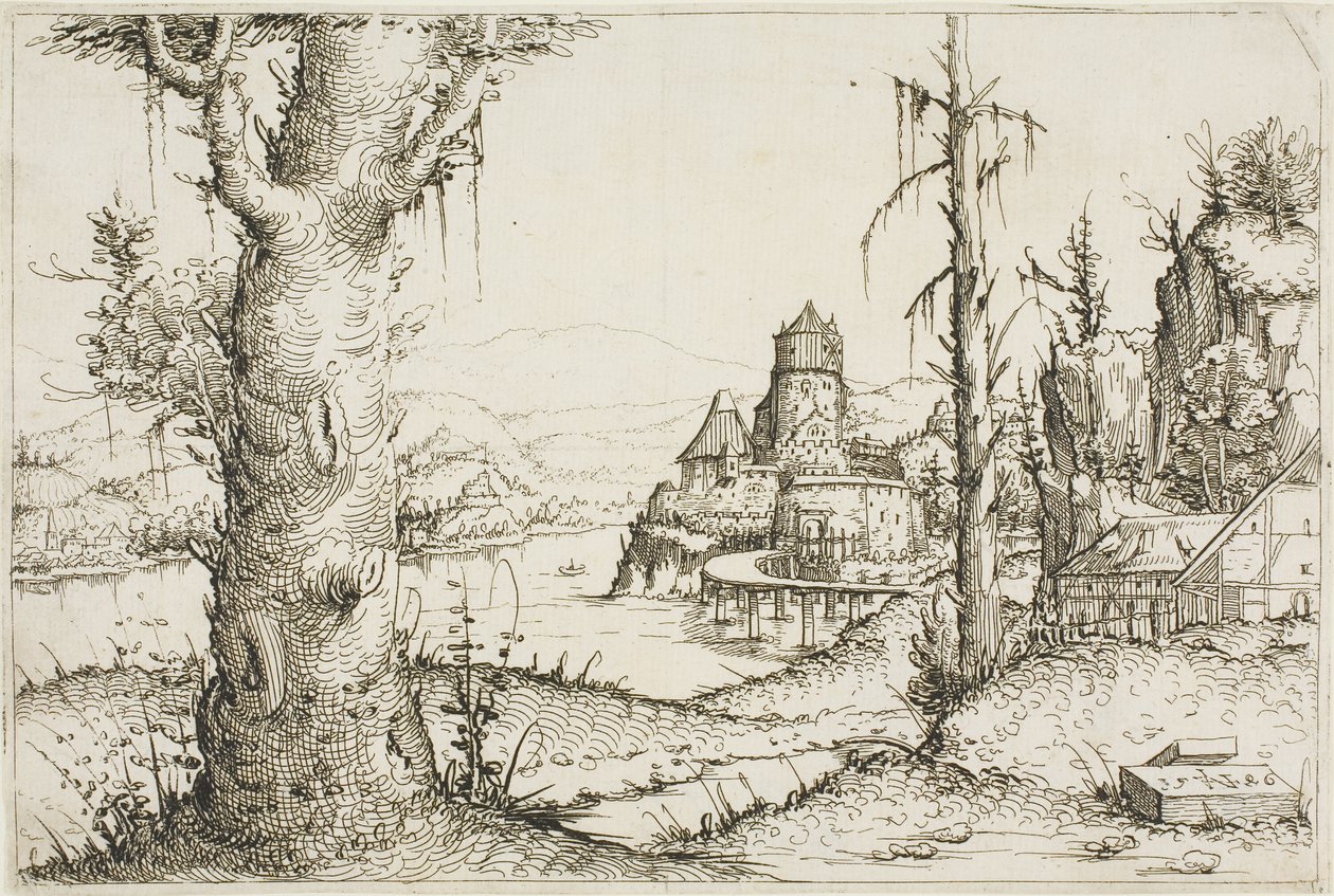 Paesaggio fluviale con grande albero in primo piano da Augustin Hirschvogel