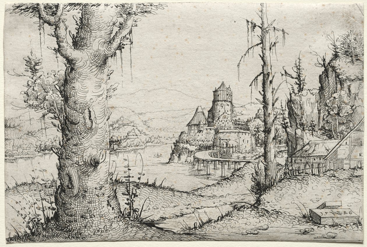 Paesaggio fluviale con grande albero a sinistra da Augustin Hirschvogel