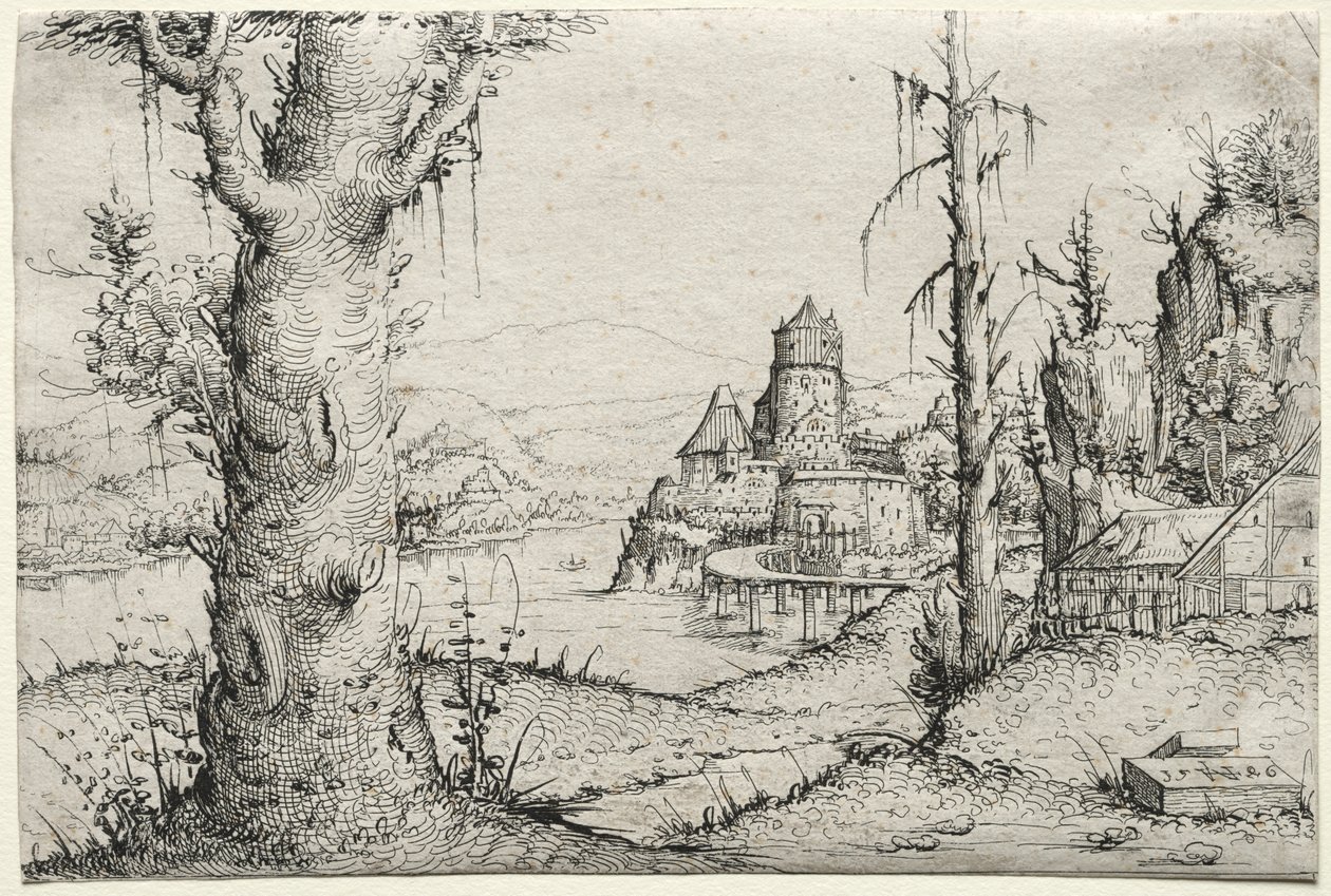 Paesaggio fluviale con grande albero a sinistra da Augustin Hirschvogel