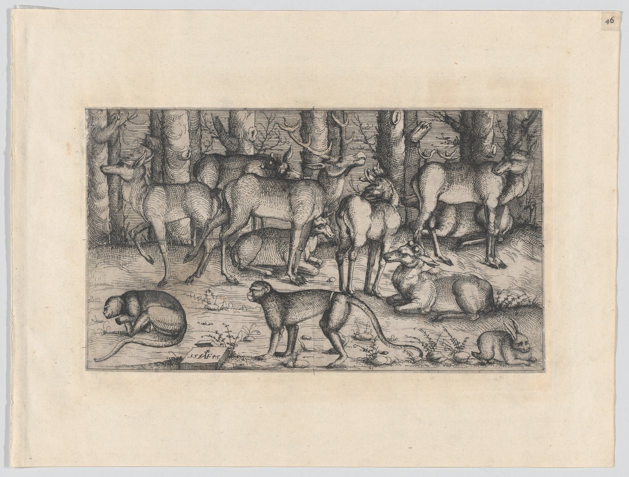 Cervi nella foresta, 1545 da Augustin Hirschvogel
