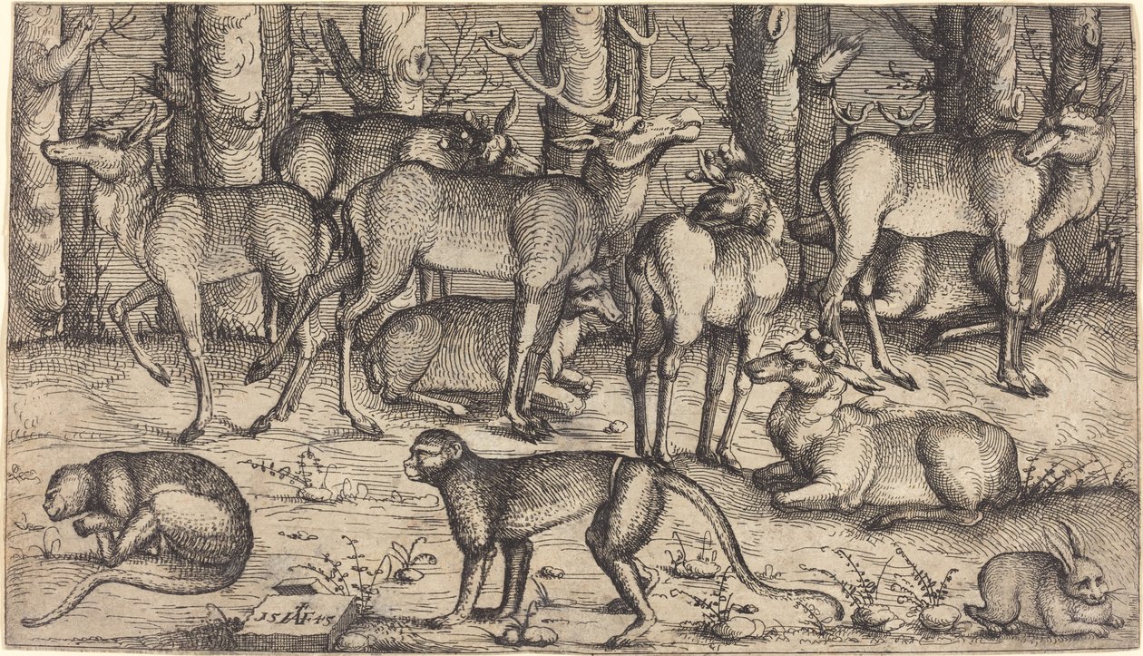 Cervi nella foresta da Augustin Hirschvogel