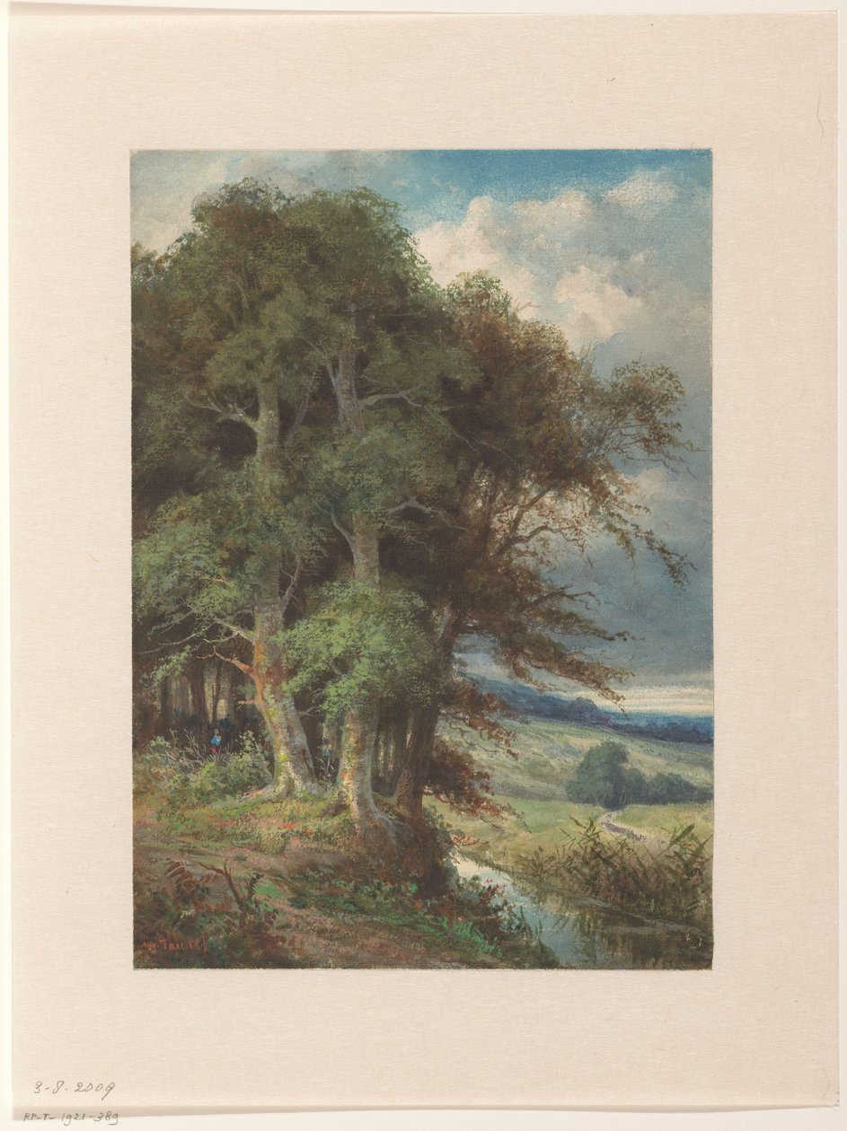 Alberi alti lungo un ruscello da Augustin Taurel