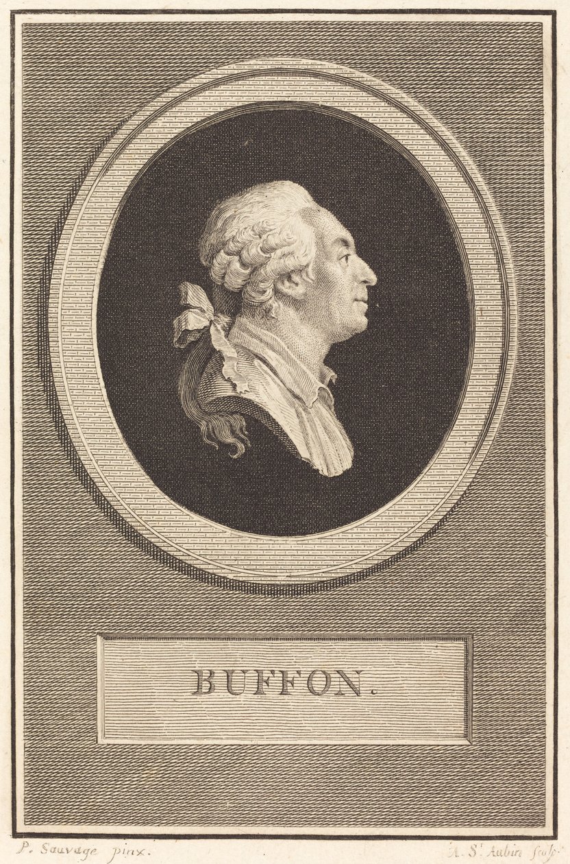 Buffon da Augustin de Saint Aubin after Piat Joseph Sauvage