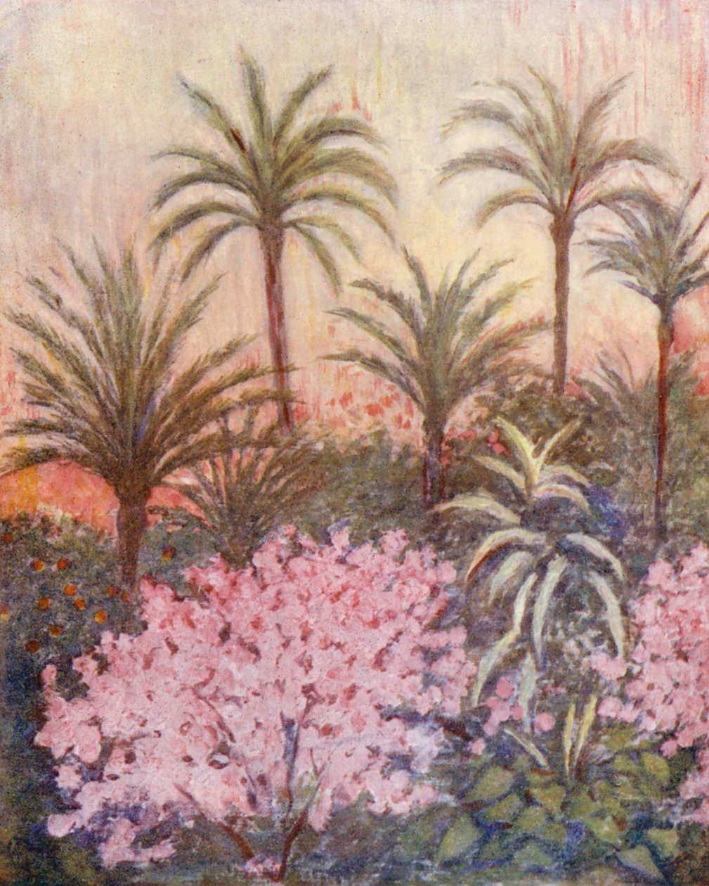 Un palmeto a Murcia (litografia a colori) da Augustine Fitzgerald