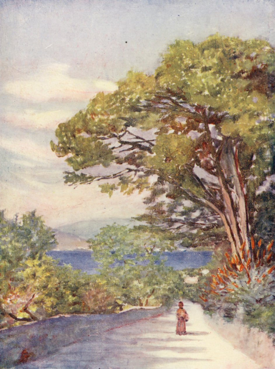 Una strada a Gibilterra (litografia a colori) da Augustine Fitzgerald