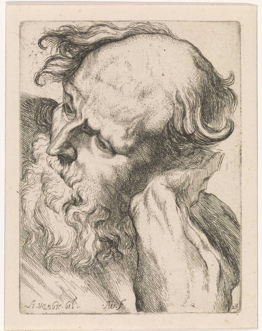 Testa di un vecchio (Giuseppe) da Augustinus Terwesten (I)