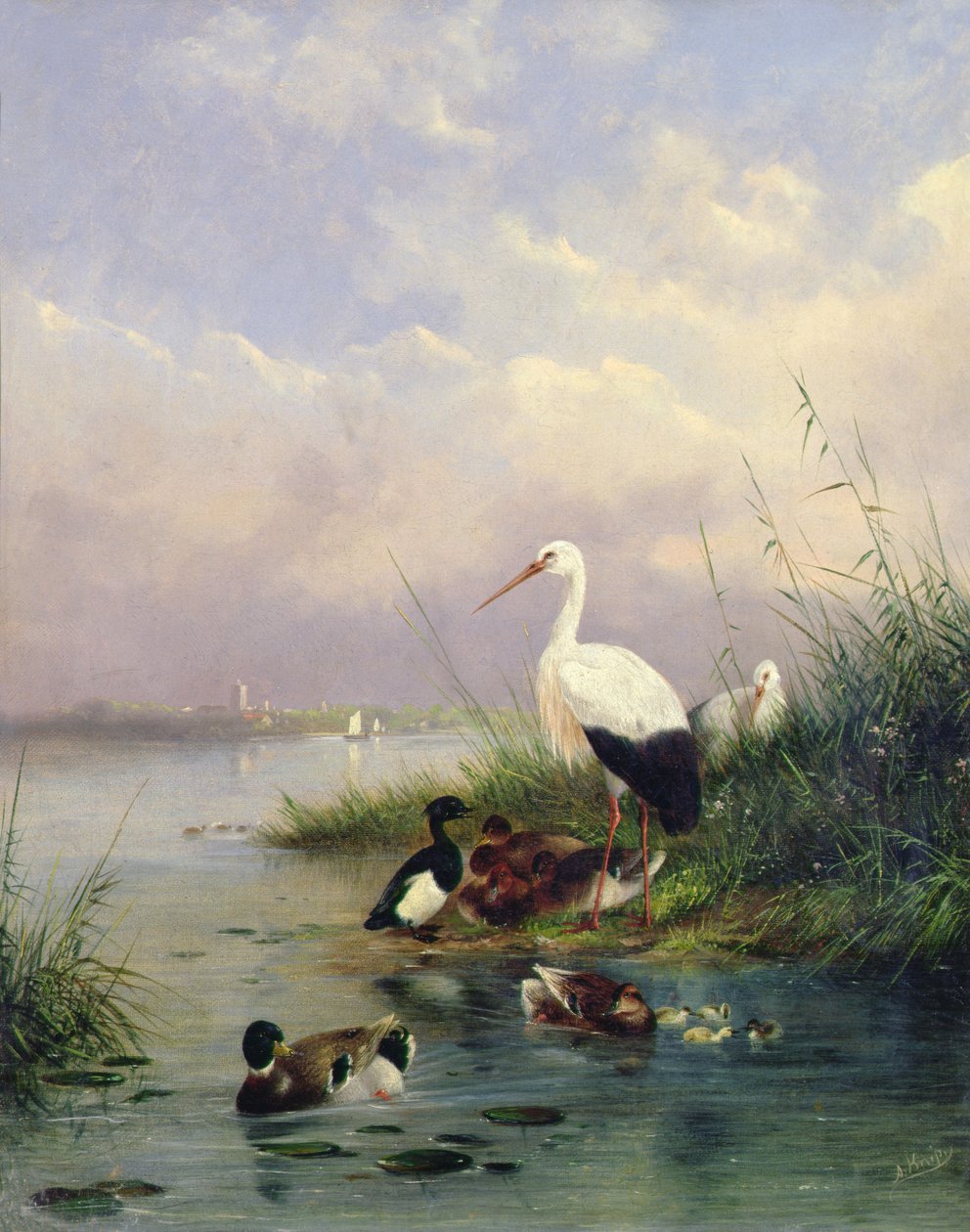 Una famiglia di germani reali, due cicogne e una famiglia di anatre tufted da Augustus Knip