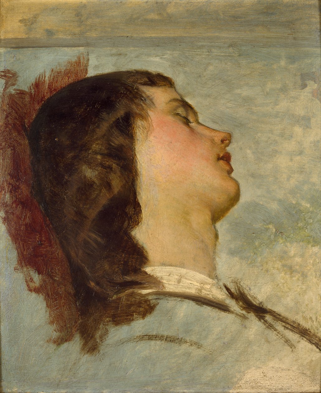 Studio preparatorio per 