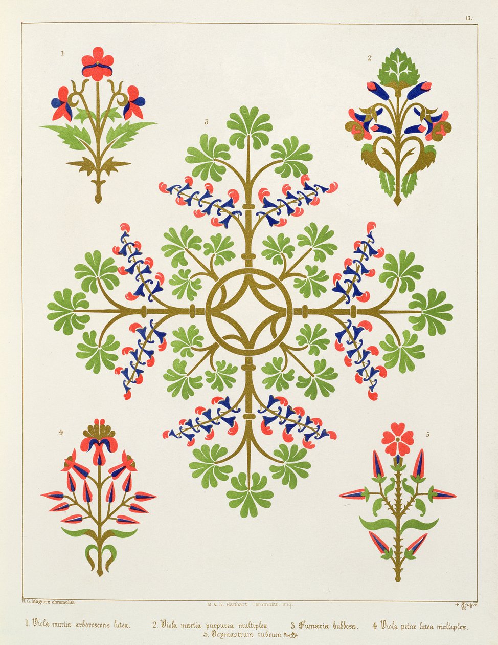 Motivo di rose, design per carta da parati, stampato da M. e N. Hanhart da Augustus Welby Northmore Pugin