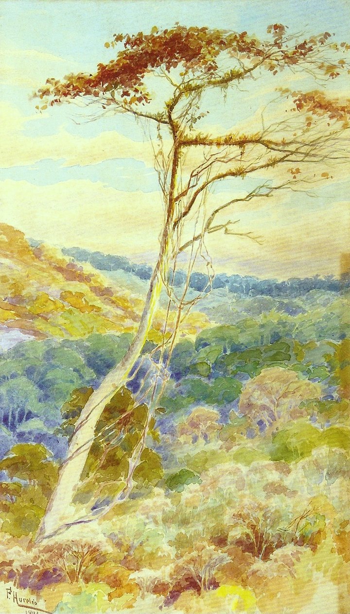 Paesaggio da Aurelio de Figueiredo