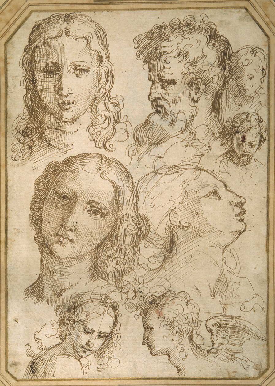 Studi di teste: una donna, un angelo, un giovane e un uomo barbuto da Aurelio (attr. to) Luini