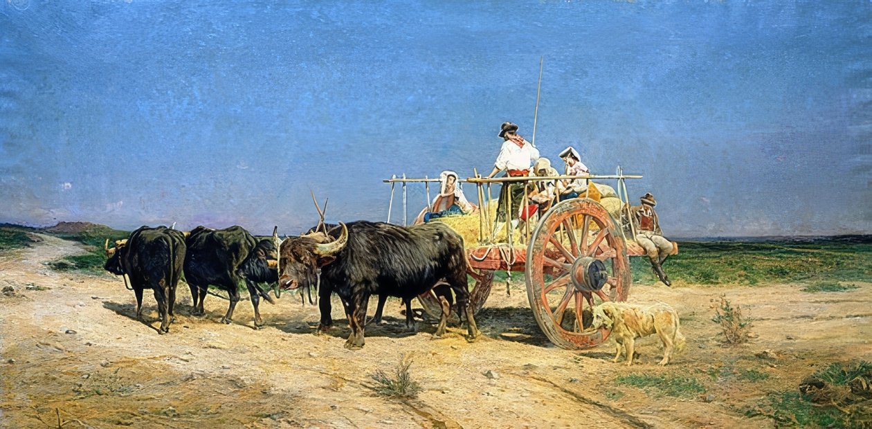Carro trainato da bufali da Aurelio Tiratelli