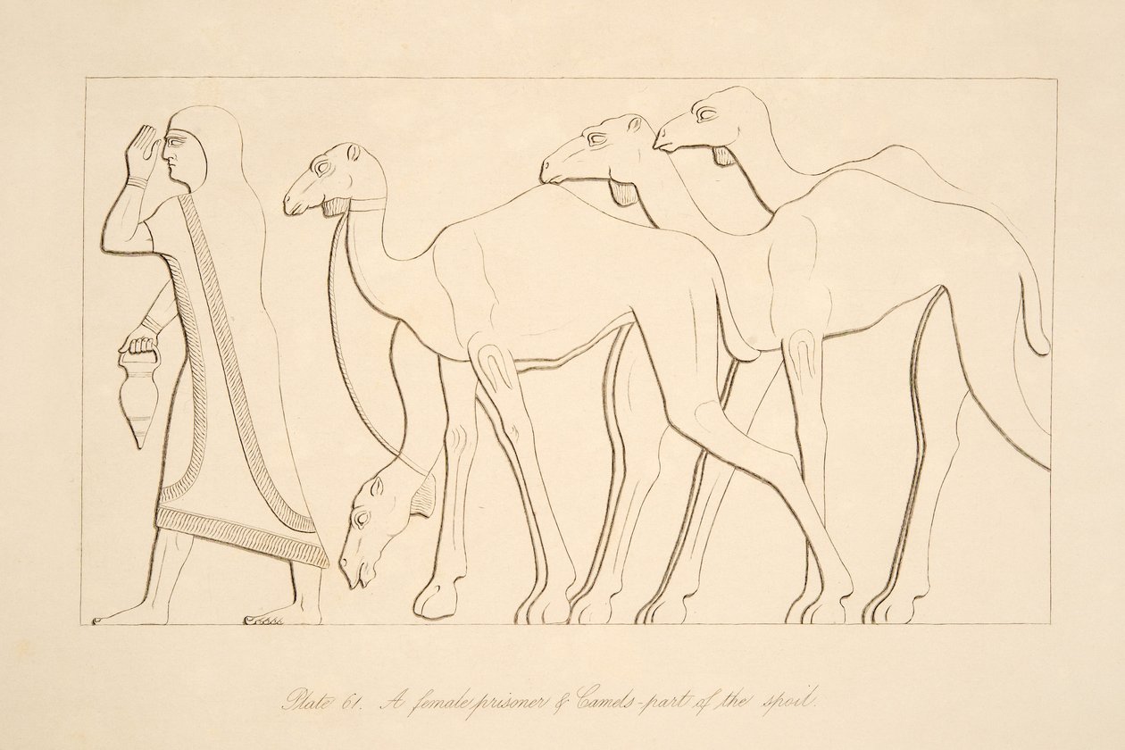 Una prigioniera e un cammello, illustrazione da Monuments of Nineveh, 1849 da Austen Henry Layard