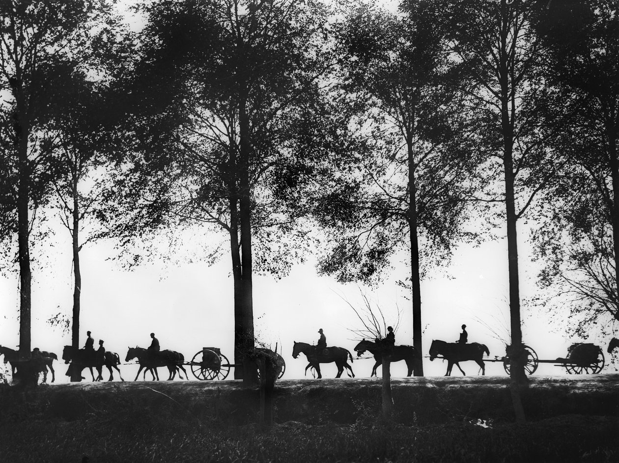 Una vista, in silhouette, di limbers d