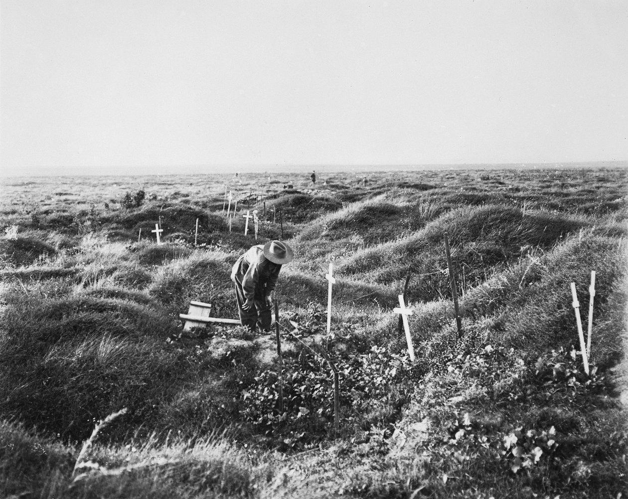 Vista di tombe australiane sparse lungo la linea OG1 sul campo di battaglia di Pozieres, 16 settembre 1917 da Australian Photographer