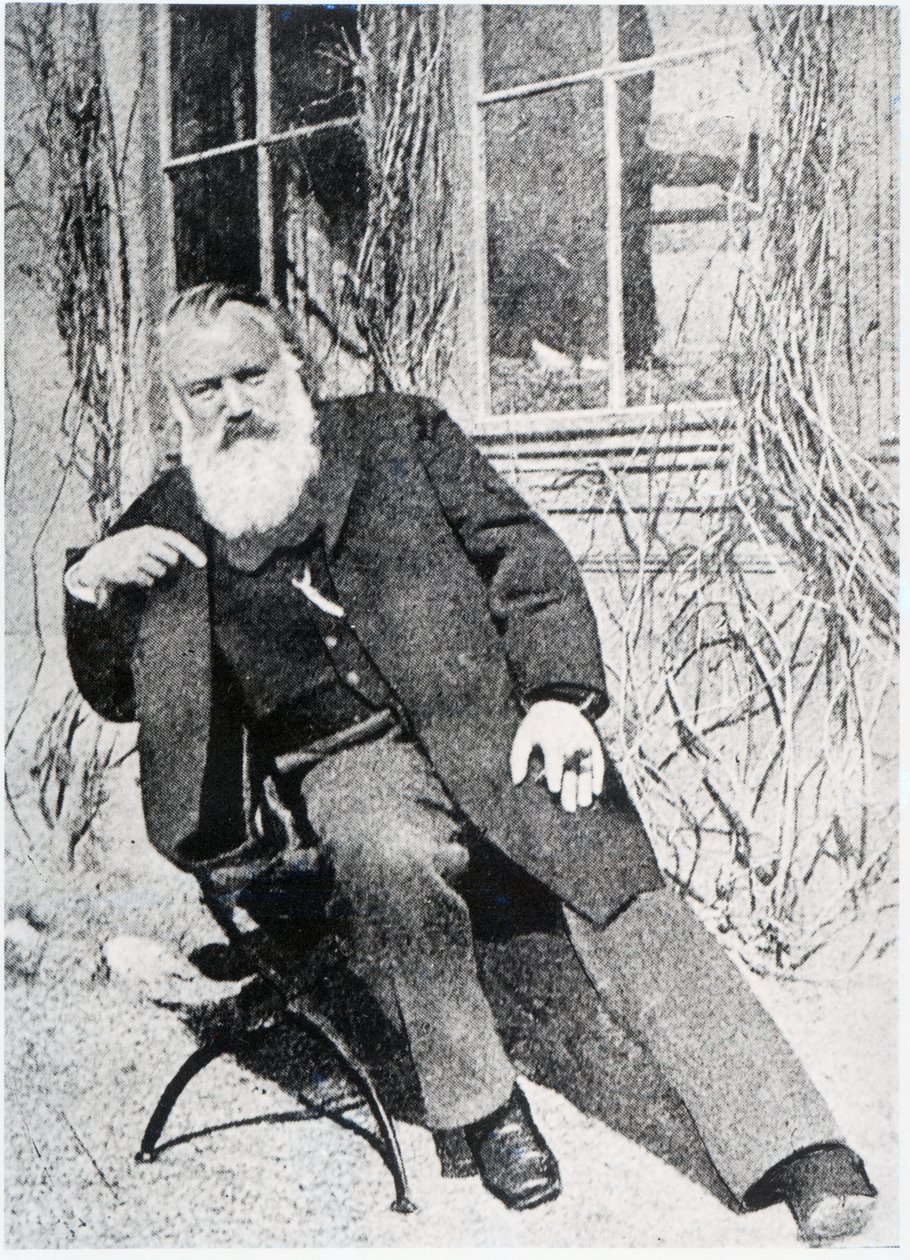 Johannes Brahms, c.1897 da Austrian Photographer