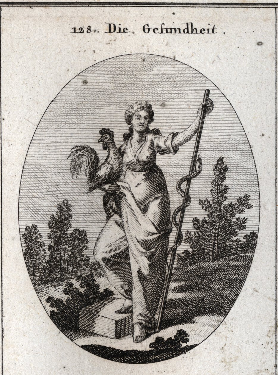 Allegoria della salute rappresentata da una donna forte che tiene un gallo, animale consacrato ad Esculapio, dio della medicina. Tiene un bastone attorno al quale è avvolto un serpente (deciduo), animale meno soggetto alle malattie. Incisione in "Iconologi da Austrian School