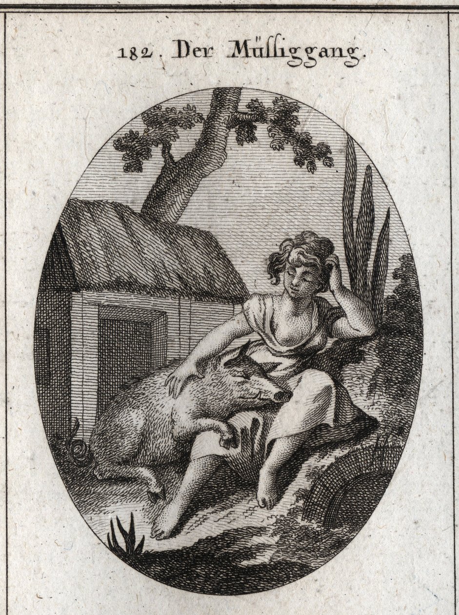 Allegoria dell