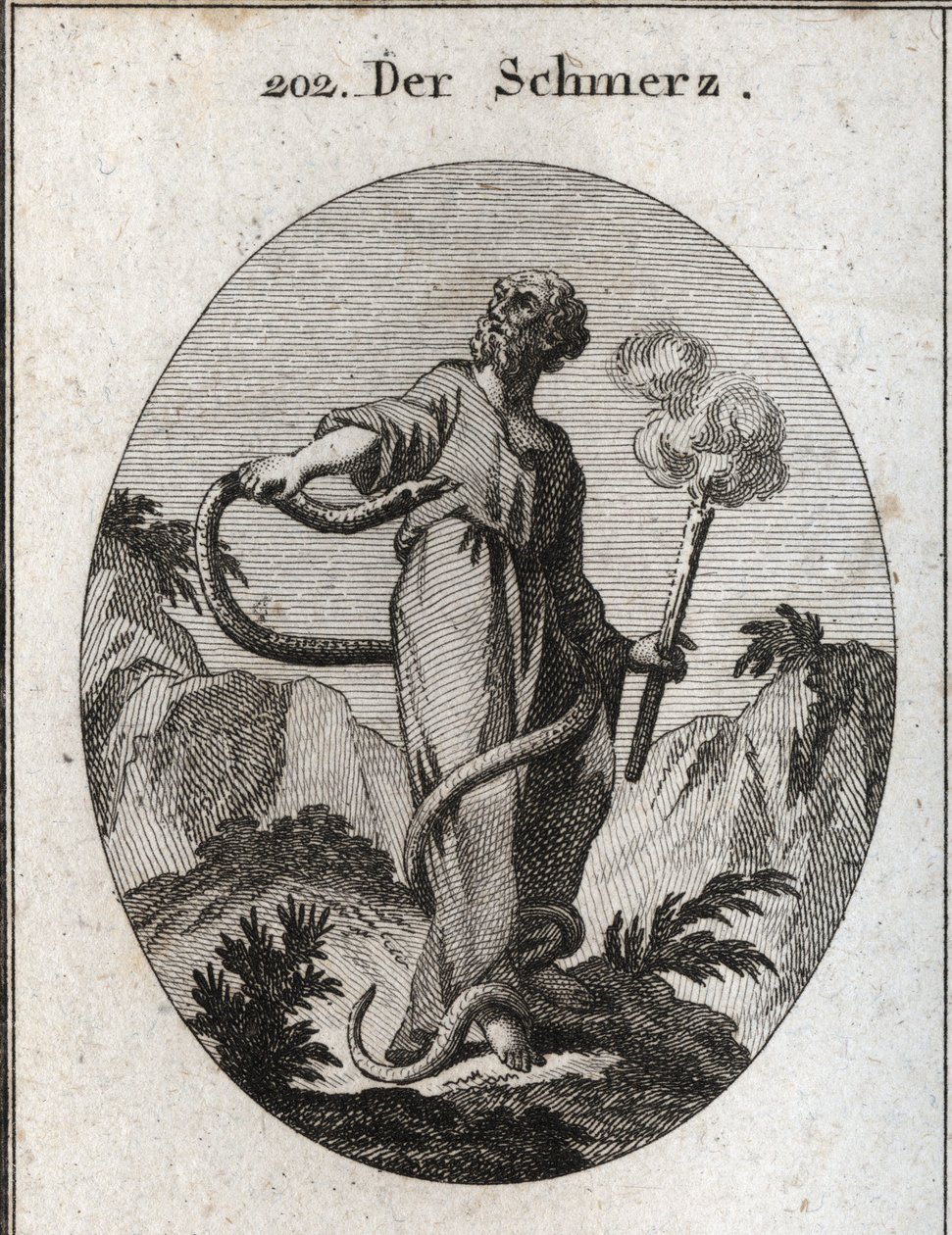 Allegoria del dolore. Un serpente mostruoso avvolge chi, dopo aver legato i suoi piedi, sale sul suo corpo e cerca di mordergli il cuore. Tiene una torcia che ancora fuma, il che significa che l