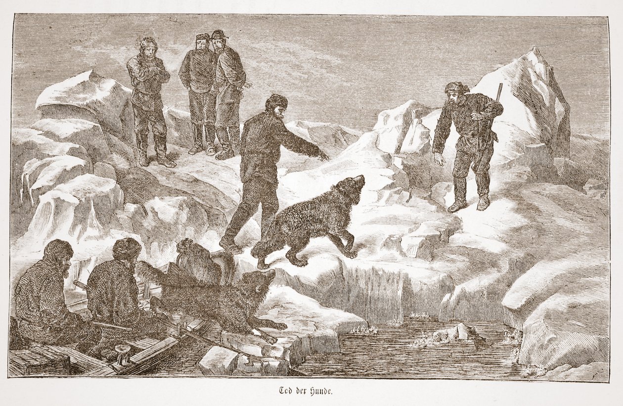 Caccia con i cani, 1876 da Austrian School