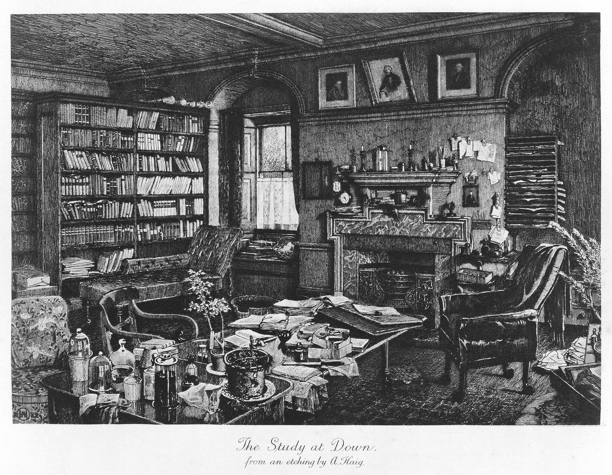 Lo studio a Down, pub. 1882 (incisione) da Axel (after) Haig