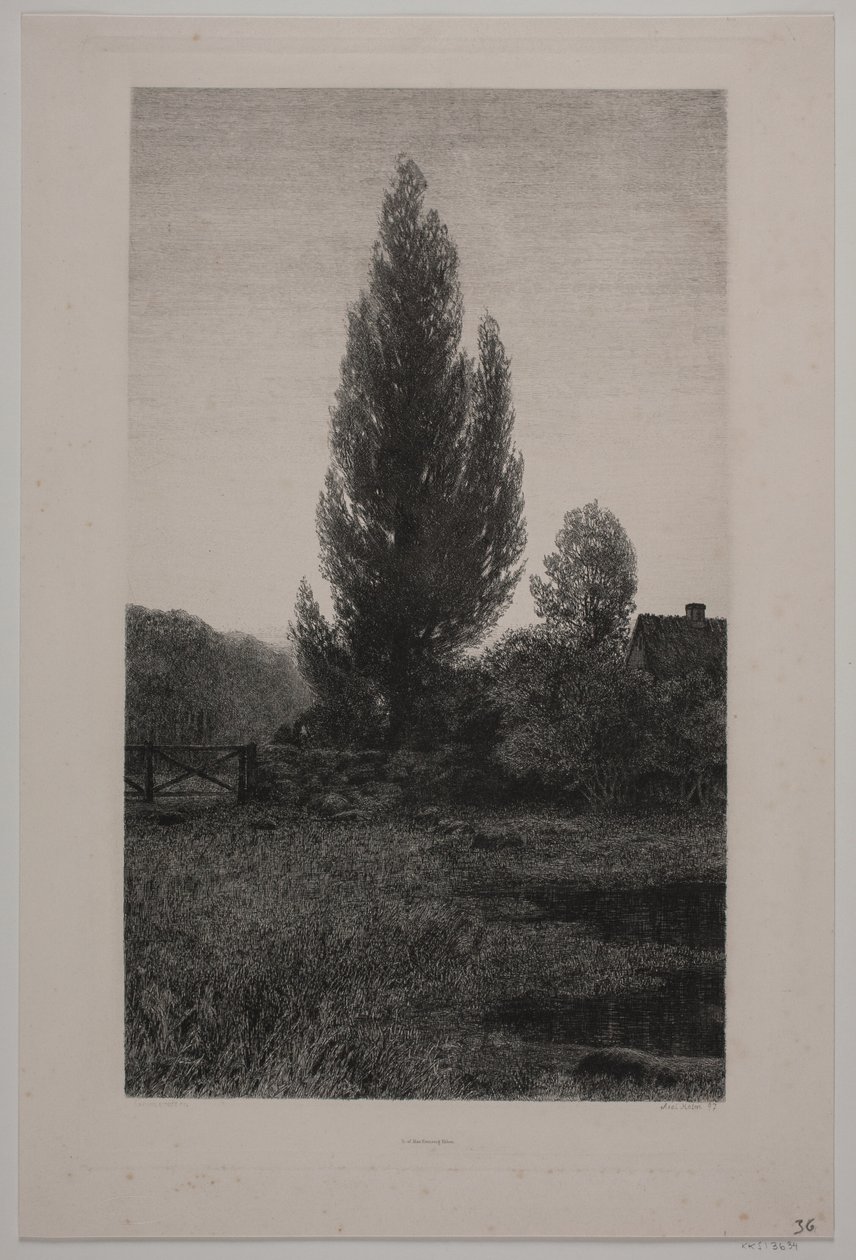 Danese: Sommeraften da Axel Holm