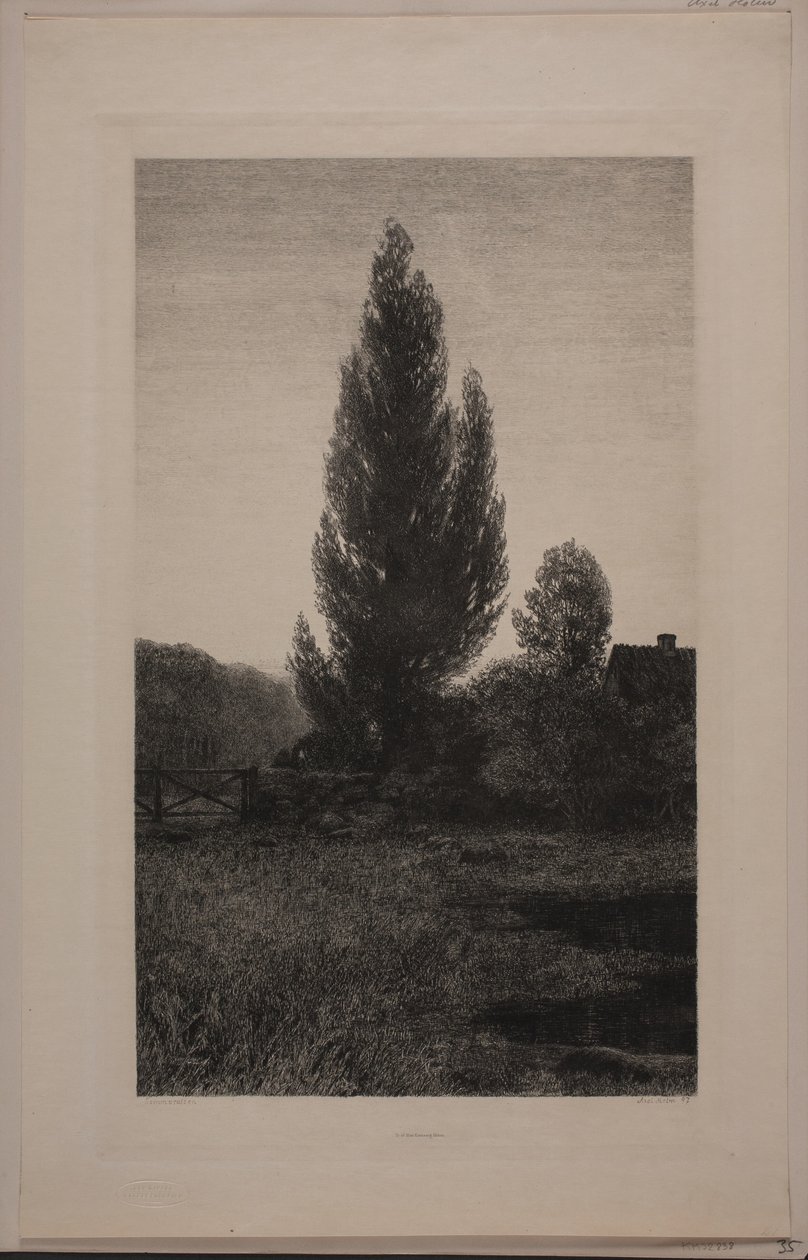 Danese: Sommeraften da Axel Holm