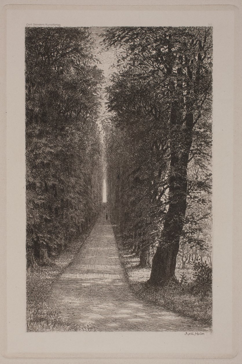 Viale dei sospiri da Axel Holm