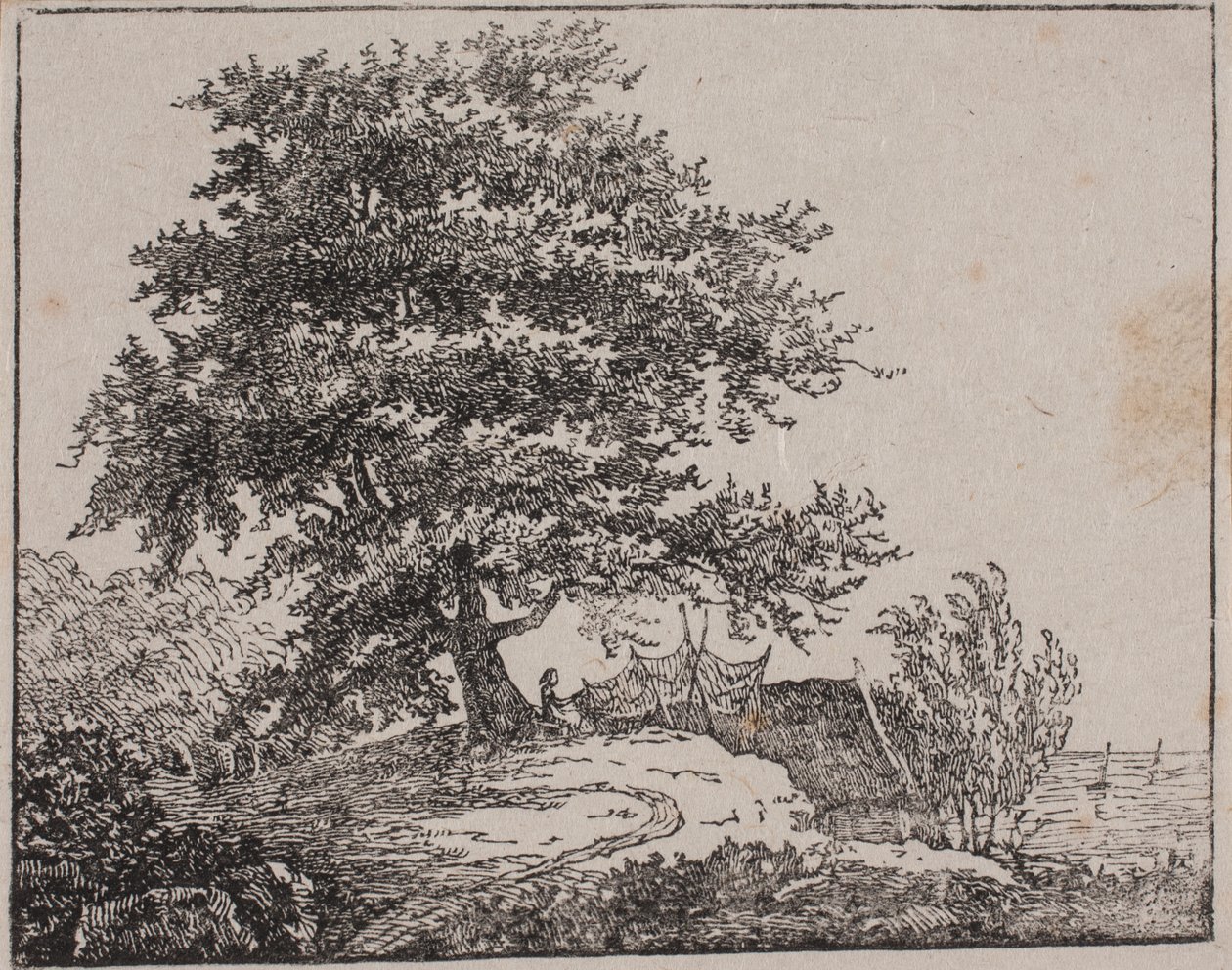 Albero su una scogliera vicino al mare da Axel Theodor Kittendorff