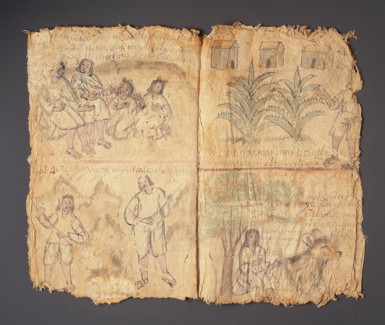 Codice Techialoyan, Coyotepec Coyonazco, Messico da Aztec