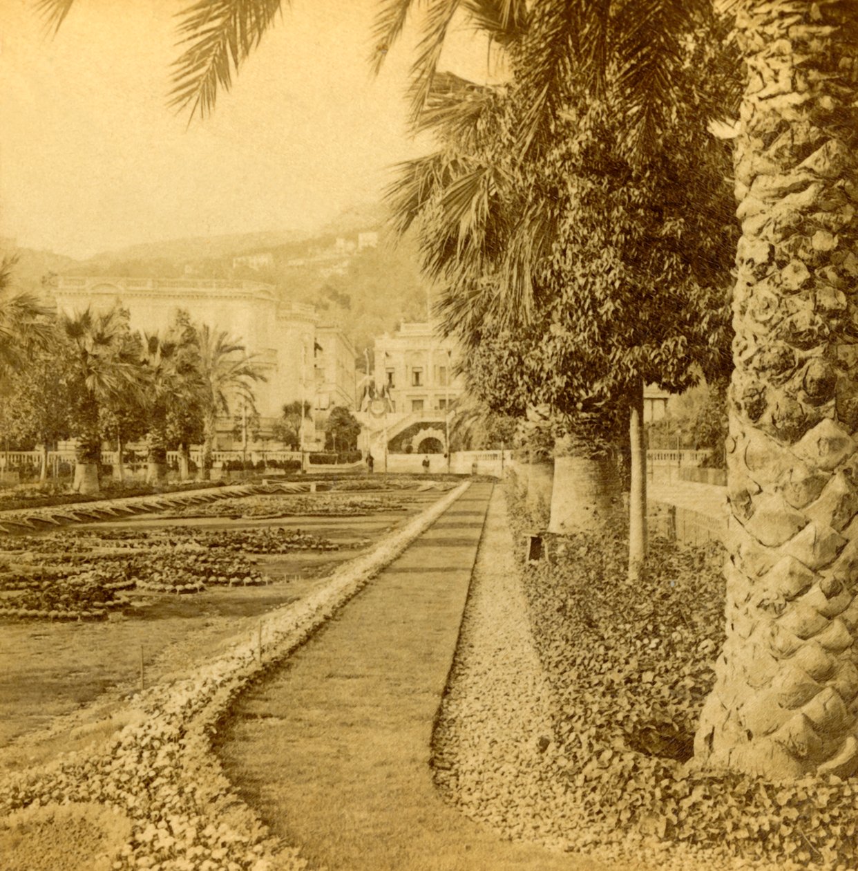 Monte Carlo, vista dal Casinò, 1897 da B. W. Kilburn