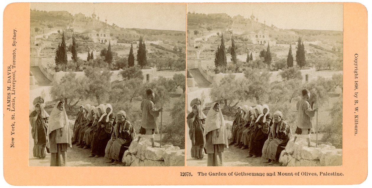 Il giardino del Getsemani e il Monte degli Ulivi, Palestina, 1898 da B. W. Kilburn