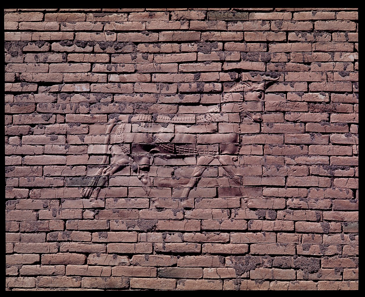 Dettaglio di un toro, rilievo della Porta di Ishtar, 580 a.C. da Babylonian