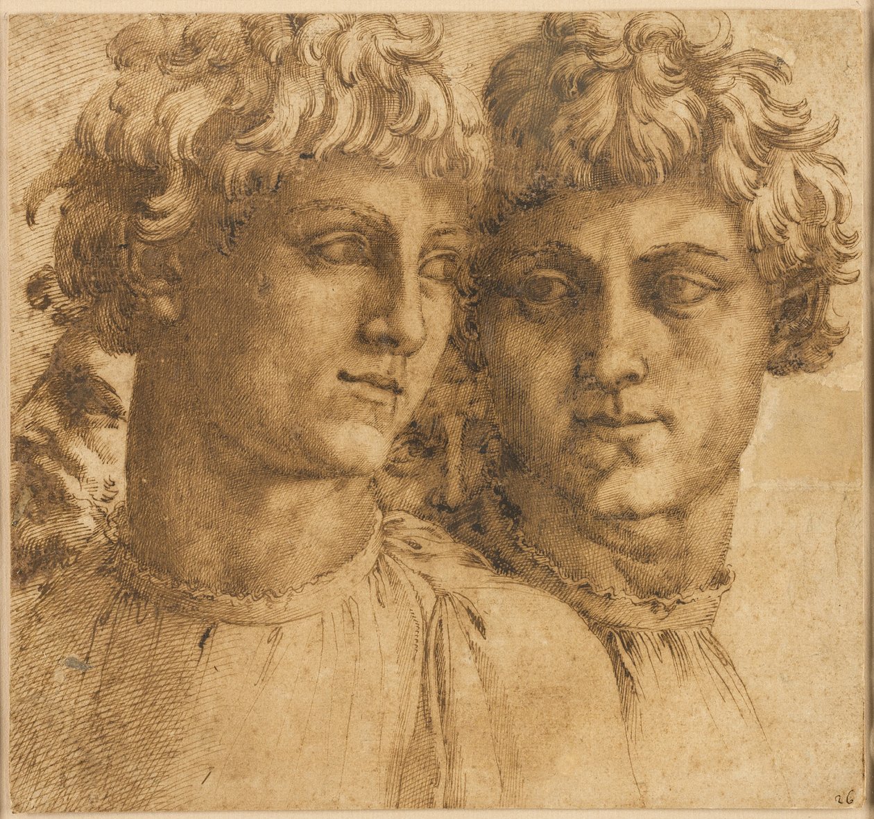 Due studi della testa di un giovane da Baccio Bandinelli