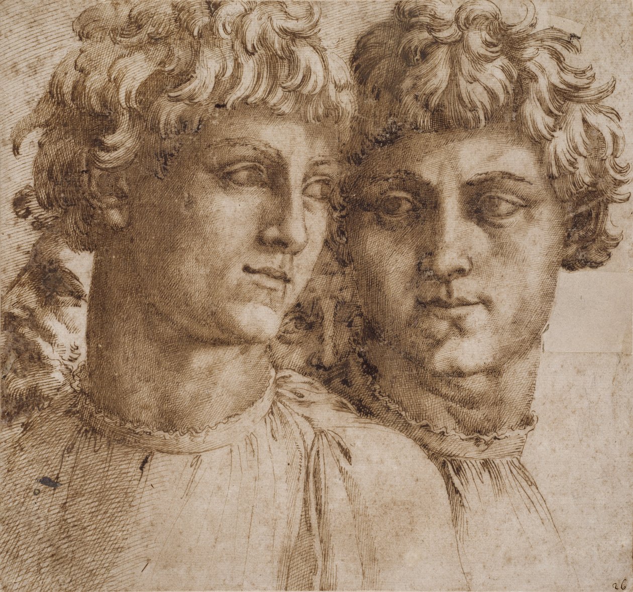 Due Studi della Testa di un Giovane, c.1550 da Baccio Bandinelli