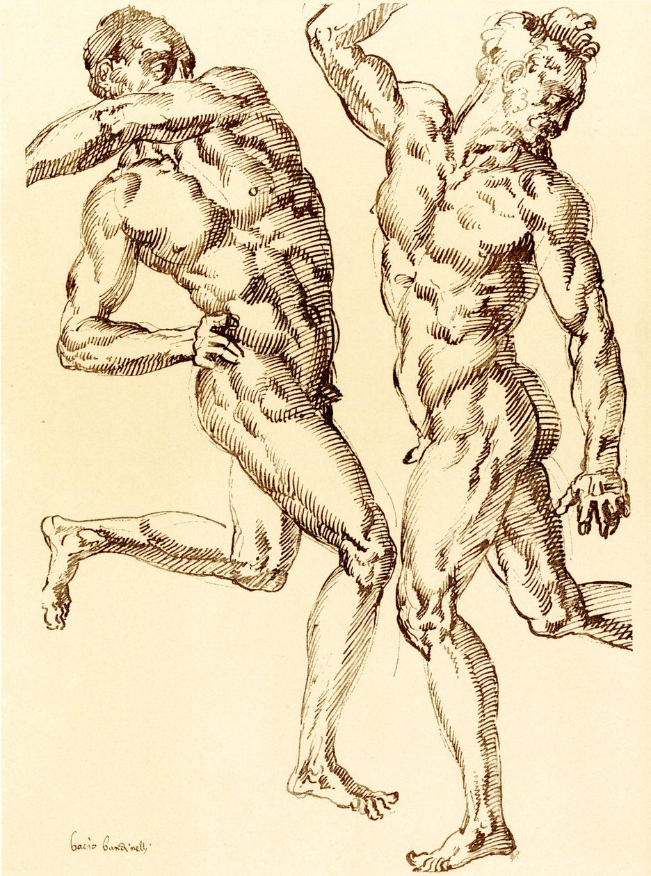 Due studi di nudo maschile da Baccio Bandinelli