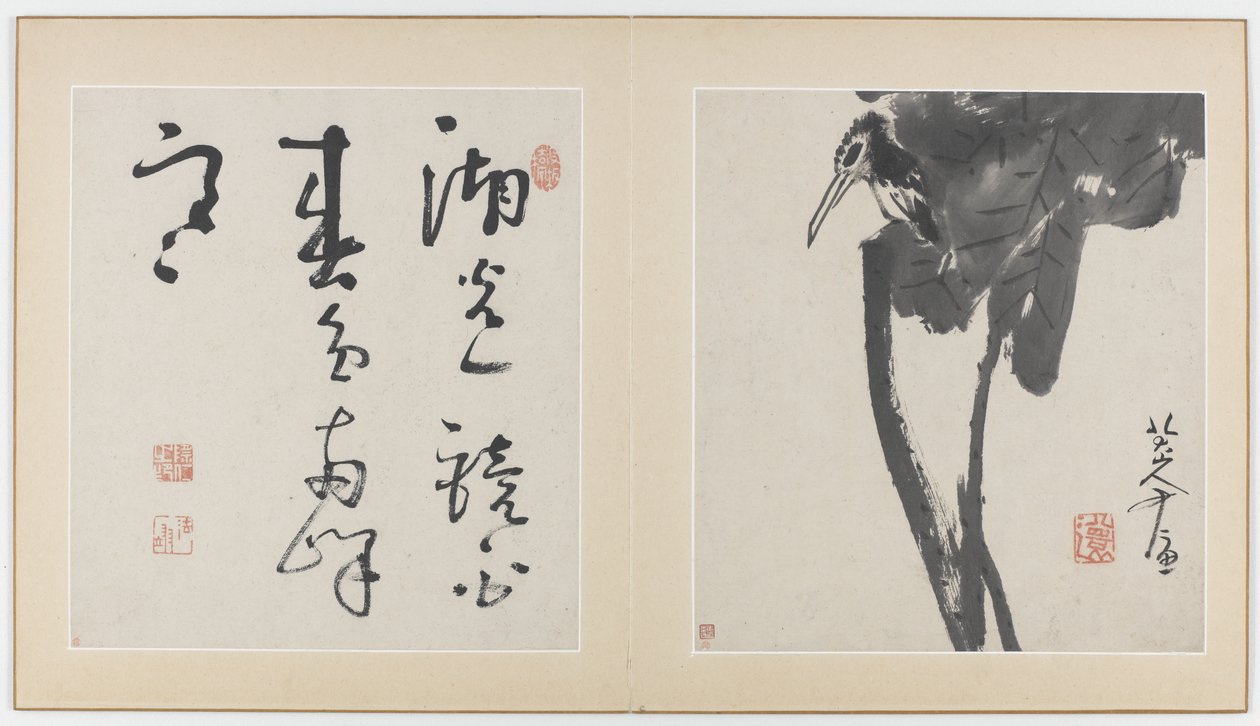 Pagine da un album di fiori, uccelli, insetti e pesci, Dinastia Qing, 1688-89 da Bada Shanren