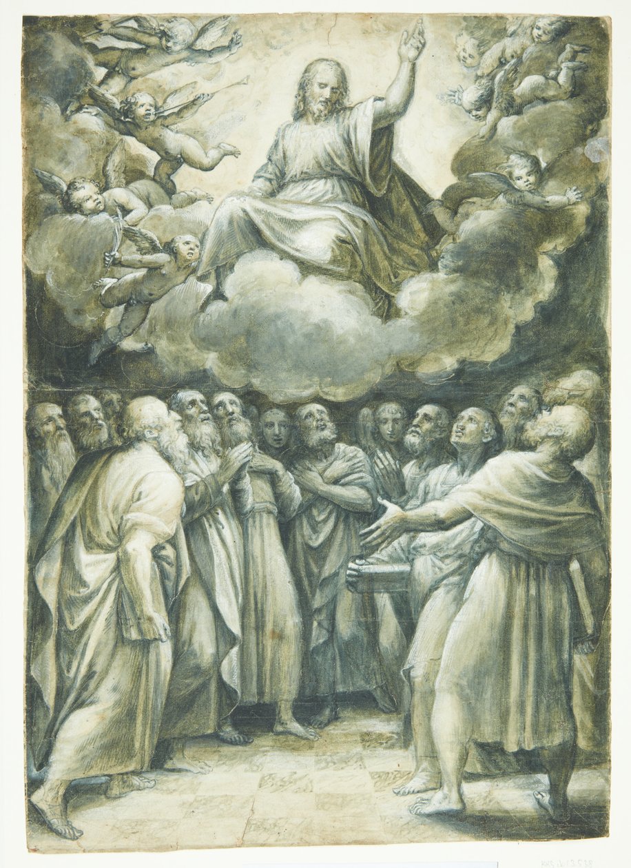 Ascensione di Cristo da Bagnacavallo