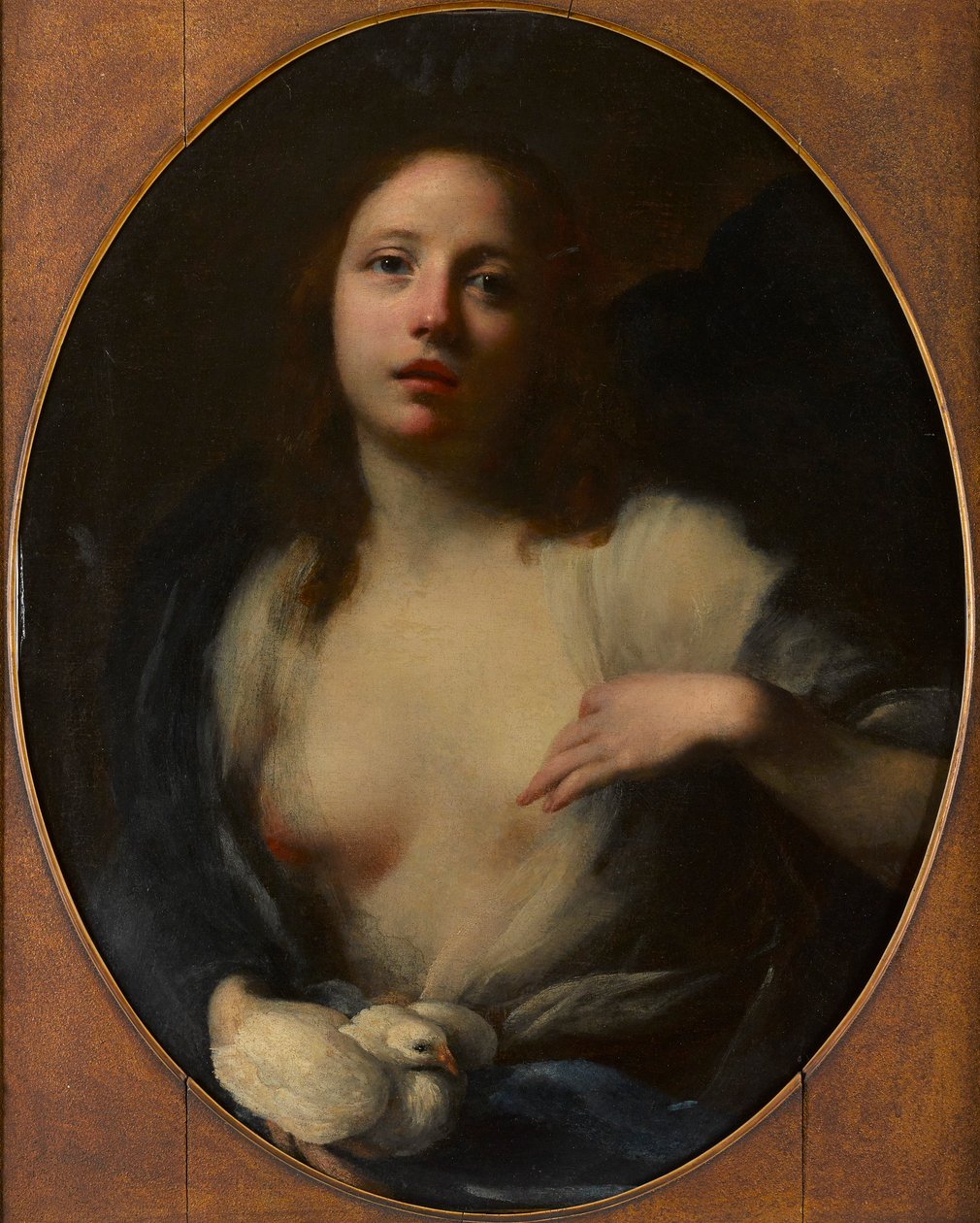 Dipinto di una giovane ragazza con colomba bianca da Baldassare (1611 89) Franceschini