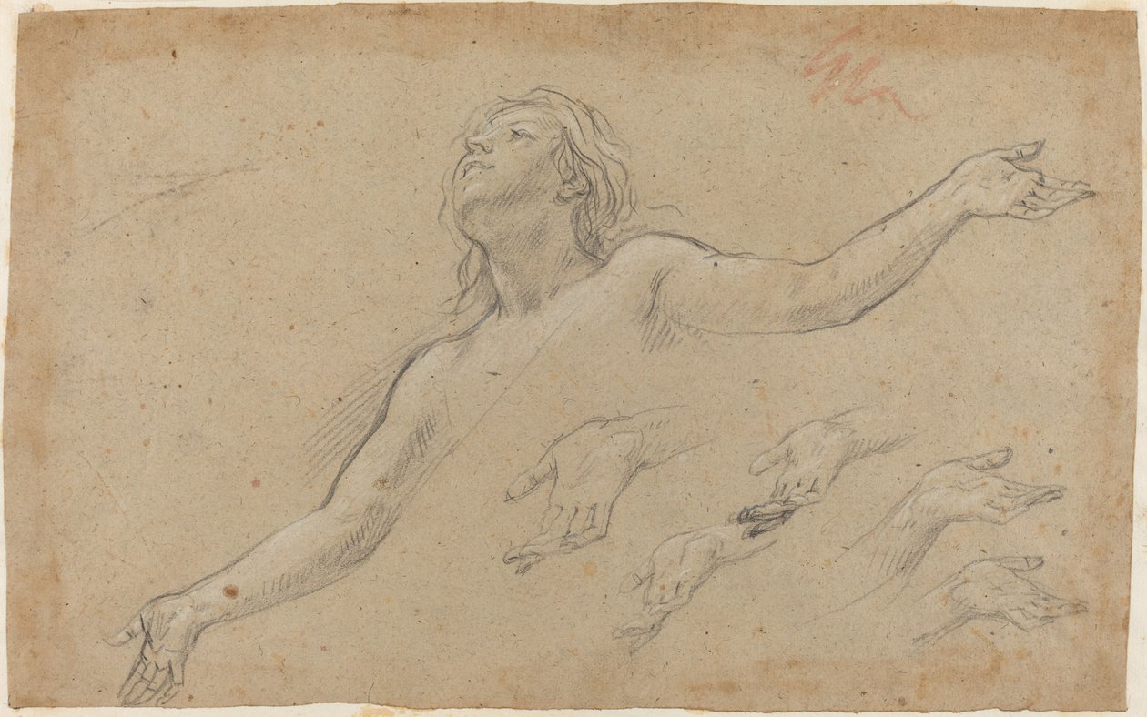 Ascensione della Maddalena da Baldassare Franceschini