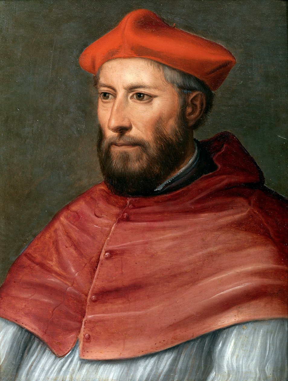 Card. Pietro Accolti da Baldassare Peruzzi
