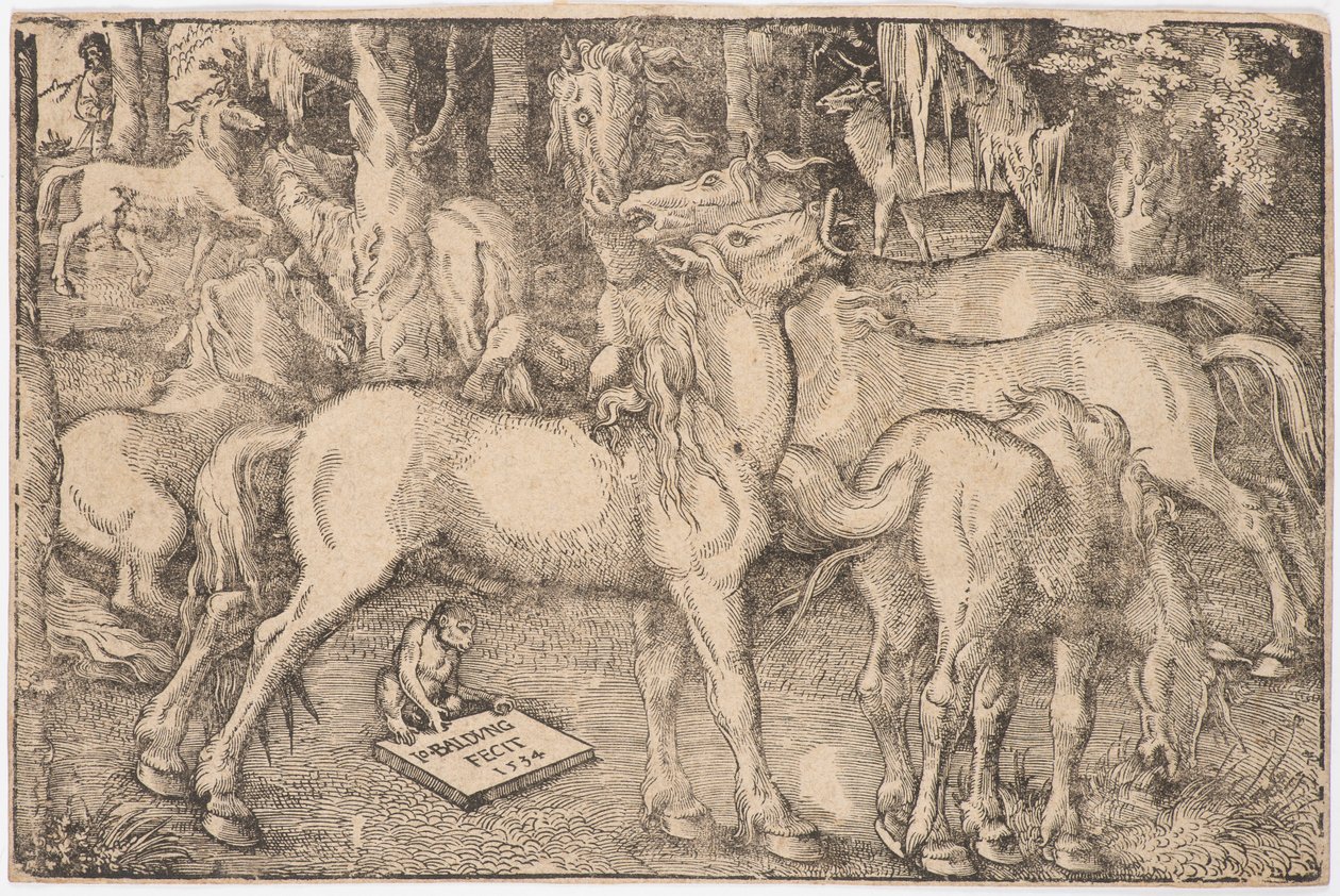 Gruppo di sette cavalli da Baldung