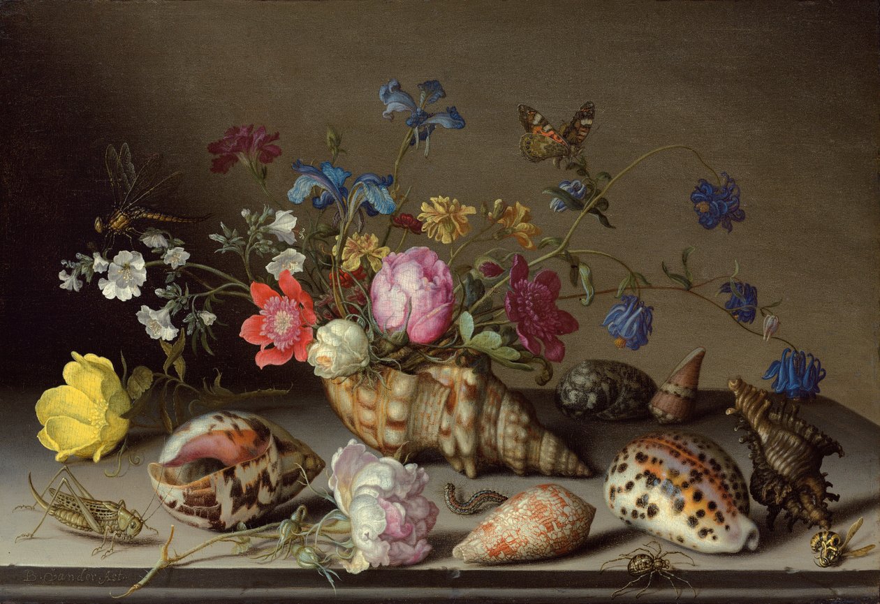 Fiori, conchiglie e insetti su un ripiano di pietra da Balthasar van der Ast