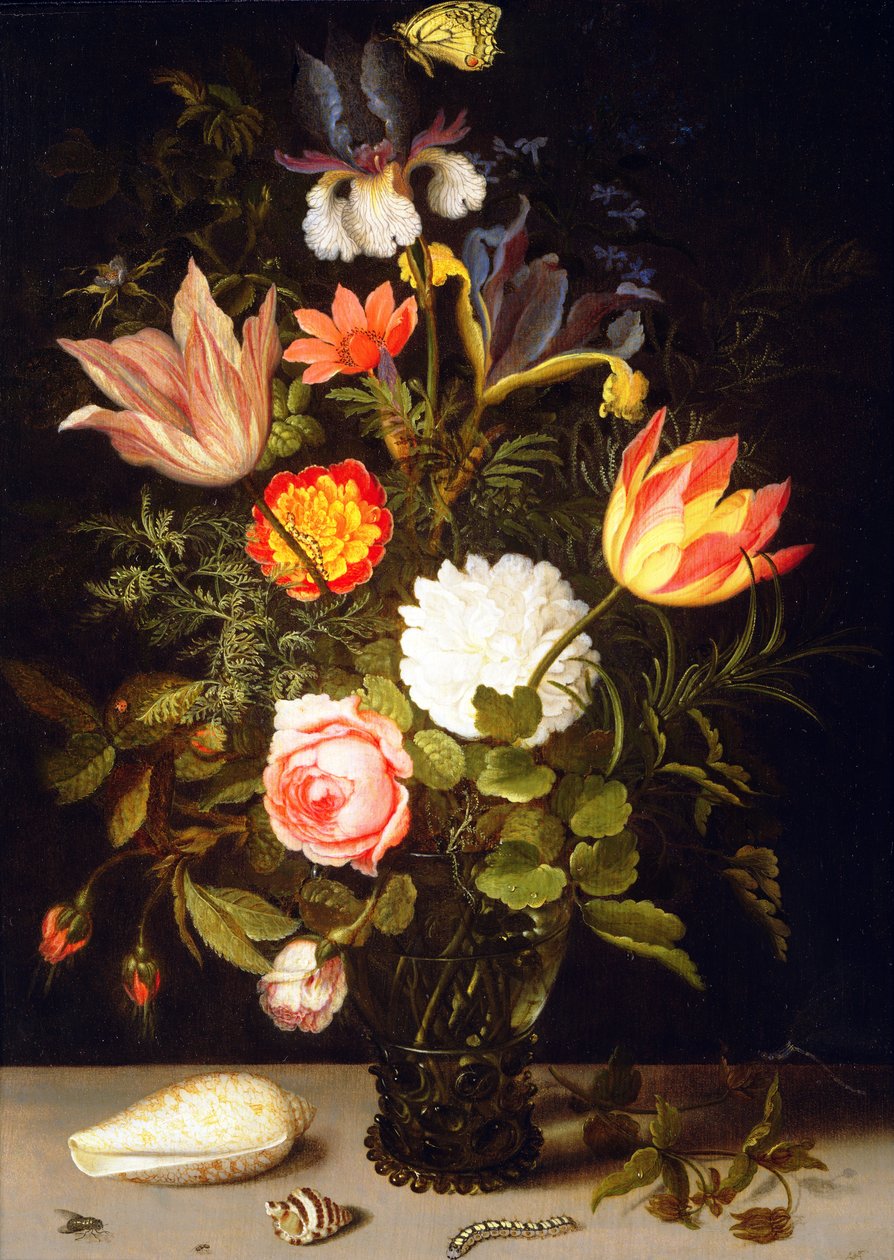 Natura morta di fiori in un Roemer con due conchiglie da Balthasar van der Ast